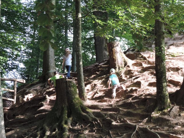 2015_07 Glygge Pic-Nic